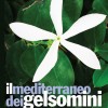 mediterraneogelsomini