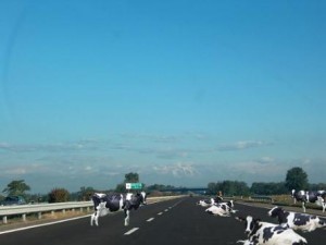 Grave errore di Errani equiparare passante nord di Bologna e servizio ferroviario metropolitano