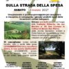 SULLA STRADA DELLA SPESA 13maggio17