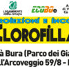 CLOROFILLA DOC 2019_banner