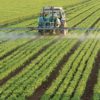 pesticidi-agricoltura1