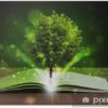 poster-libro-aperto-con-il-magico-albero-verde-e-raggi-di-luce