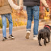 Walk. A family going for a walk with a dog