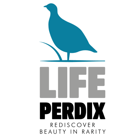 Life Perdix